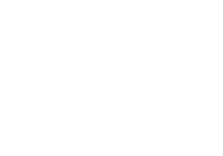 DLS logo